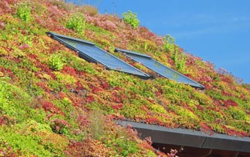 Llangynog living roof systems