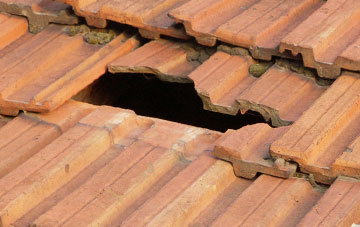 roof repair Llangynog